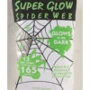 Palmer Super Glow Spider Web Decoration 1 Palmer Super Glow Spider Web Decoration -Cosplay Accessories Store 00001630p
