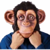 Palmer Comical Chimp Facepiece 1 Palmer Comical Chimp Facepiece -Cosplay Accessories Store 00002541p