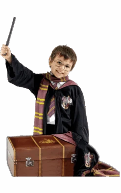 Childrens Harry Potter Costume And Trunk Set
