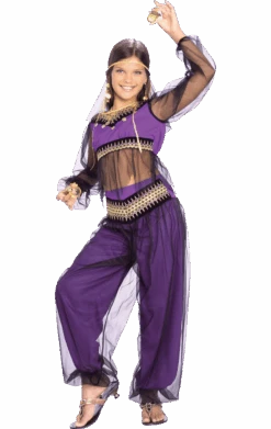 Kids Harem Princess Costume