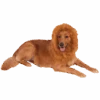 Lion Mane Dog Accessory -Cosplay Accessories Store 00004023p
