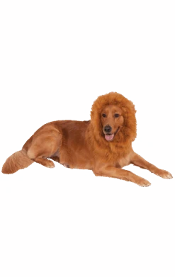 Lion Mane Dog Accessory