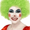 Unisex Green Clown Afro Wig