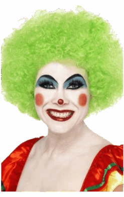 Unisex Green Clown Afro Wig