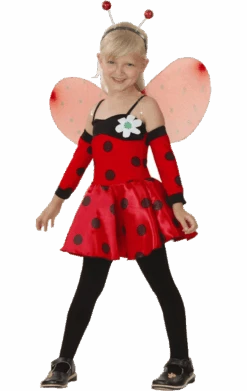 Childrens Ladybird Costume