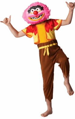 Kids The Muppets Animal Costume