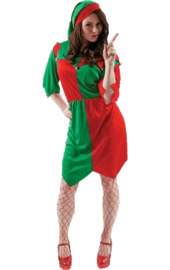 Womens Naughty Elf Costume