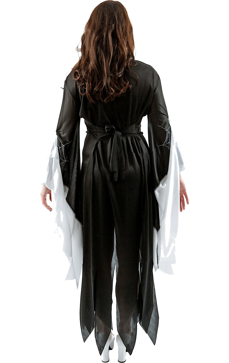 Adult Enchantress Halloween Dress 5 Adult Enchantress Halloween Dress - Image 3