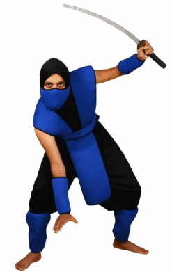 Blue Sneaky Ninja Costume